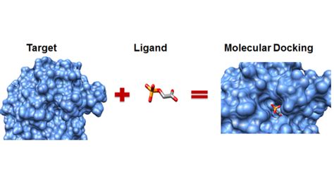 molecular docking in drug discovery
